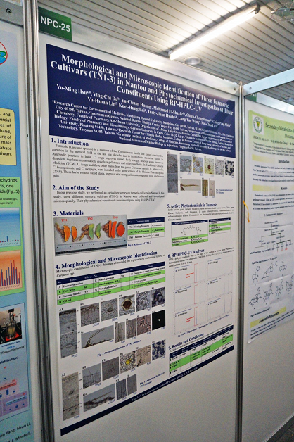 薑黃進行形態學、顯微鑑定、及成分分析研究